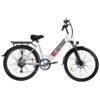 Endura Electric Bike