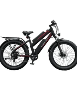 Daymak - Wild Goose Double - E-Bike